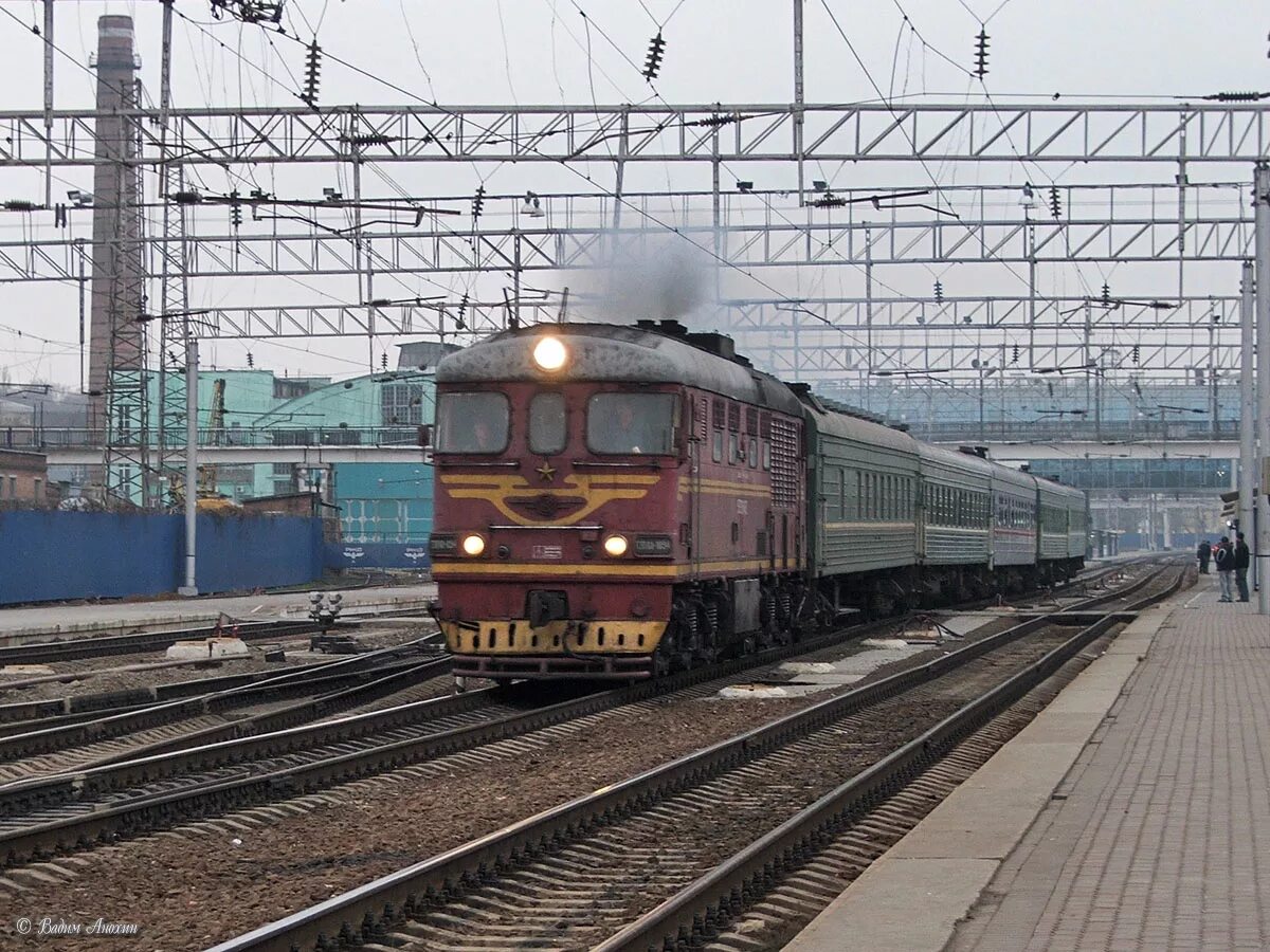 Поезд сальск петербург