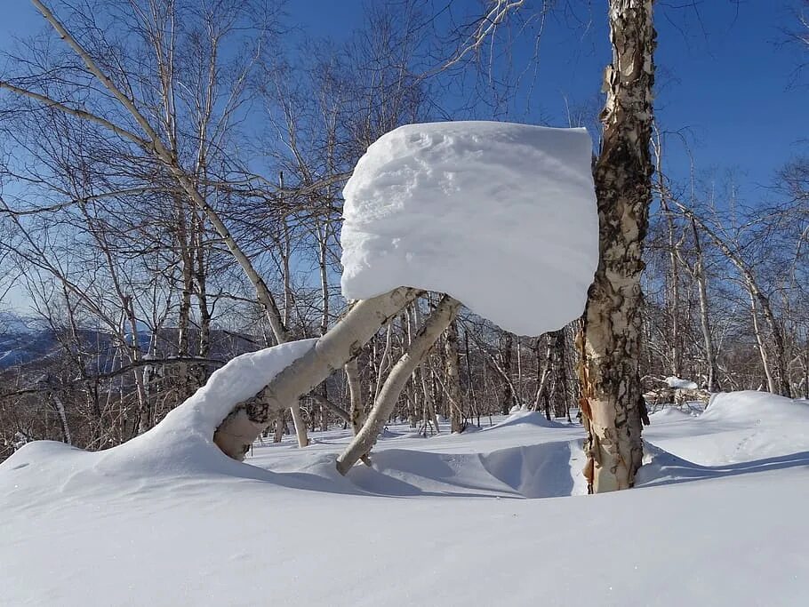 Снеговую шапку