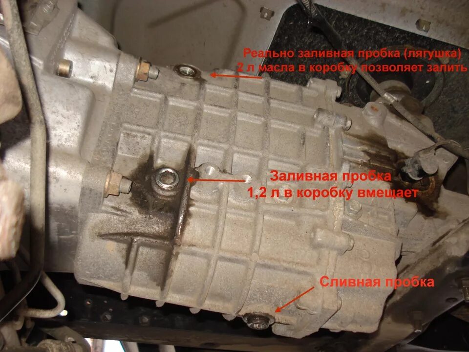 Проверить масло в газели. Щуп коробки передач Газель 3302. Уровень масла в КПП Газель. Пробка уровня масла КПП Газель бизнес. Болт сливной МКПП Газель 4216.