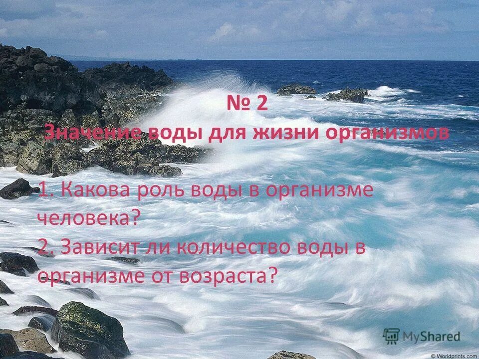 Какова роль источника. Цените воду. Человек не ценит воду пока не иссякнет источник. Человек не ценит воду до тех пор пока 6е иссякнет источник значение.