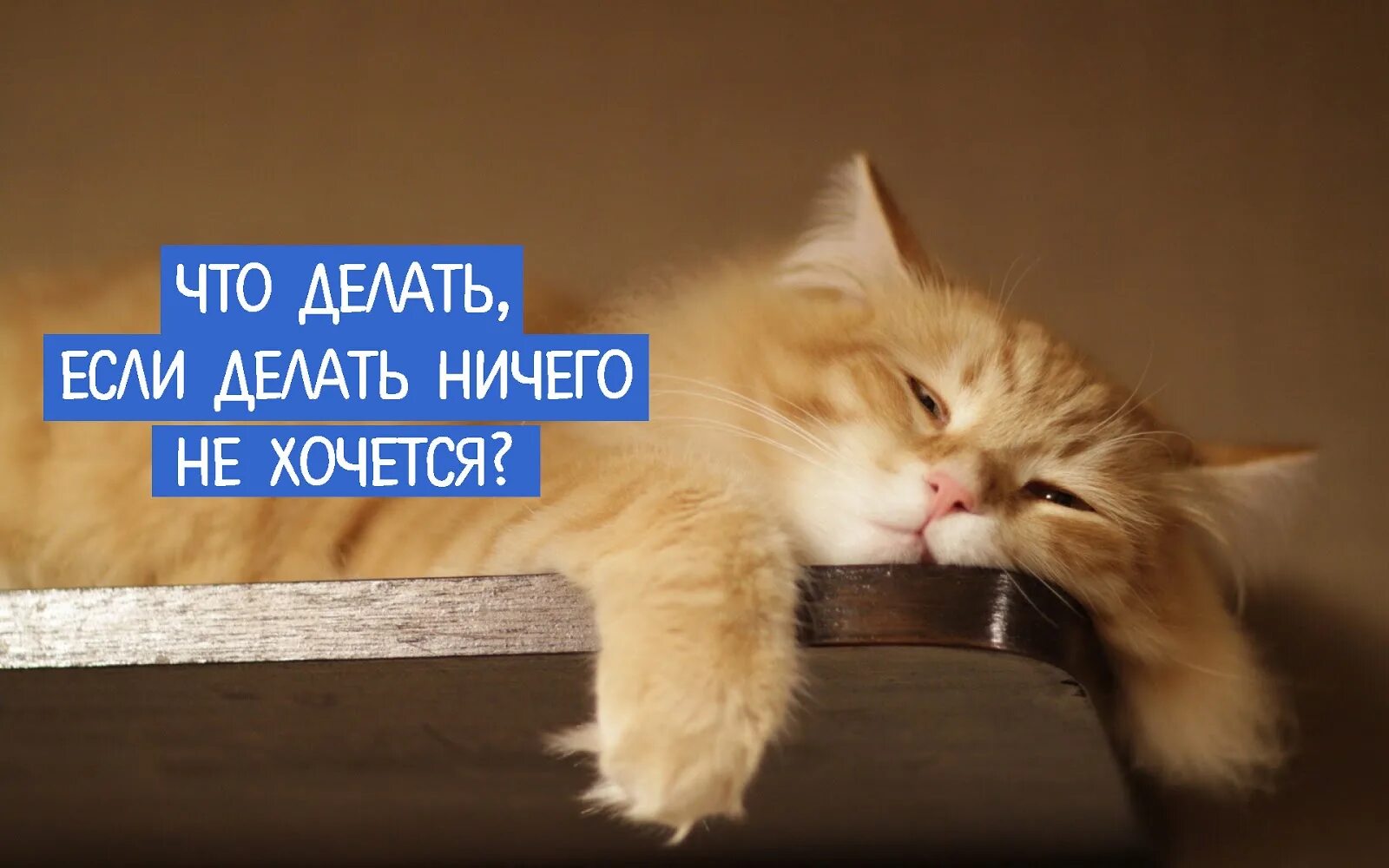 Просто ничего не делаю. Ничего не хочется делать. ничего не хочется картинки. что делать если ничего не хочется. настроение ничего не хочу.