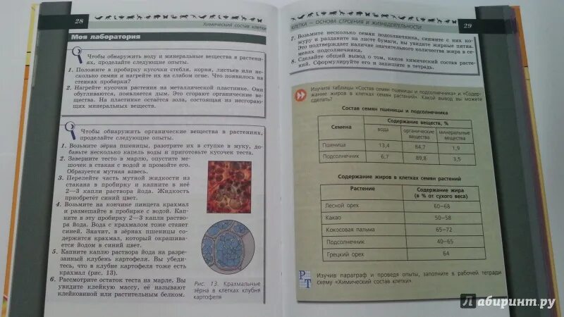 Пересказ биология 5 класс параграф 14. Биология Пасечник Суматохин. Биология 5 Пасечник Суматохин Калинова. Биология 5-6 класс параграф 5. Биология 5 класс параграф 6.