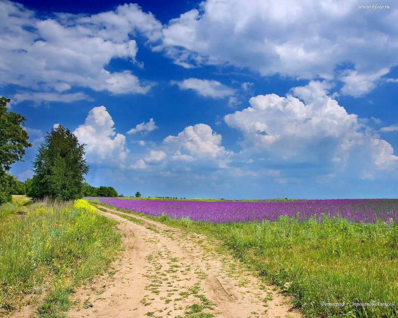 Цитаты про пейзаж. Лето. пейзажи. пейзаж лето поле. просторы лета.