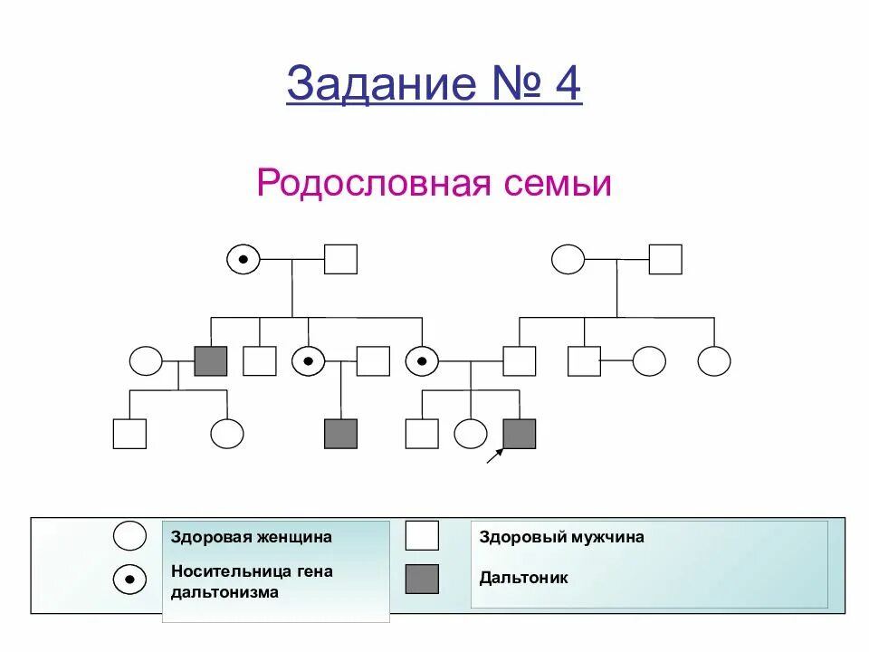 Древо семьи биология генетика. Родословная биология 9 класс генетика. Схема родословной генетика. Генеалогический метод схема родословной. Генетическое Древо семьи генетика.