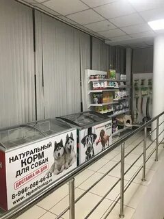 Открытые зоомагазины