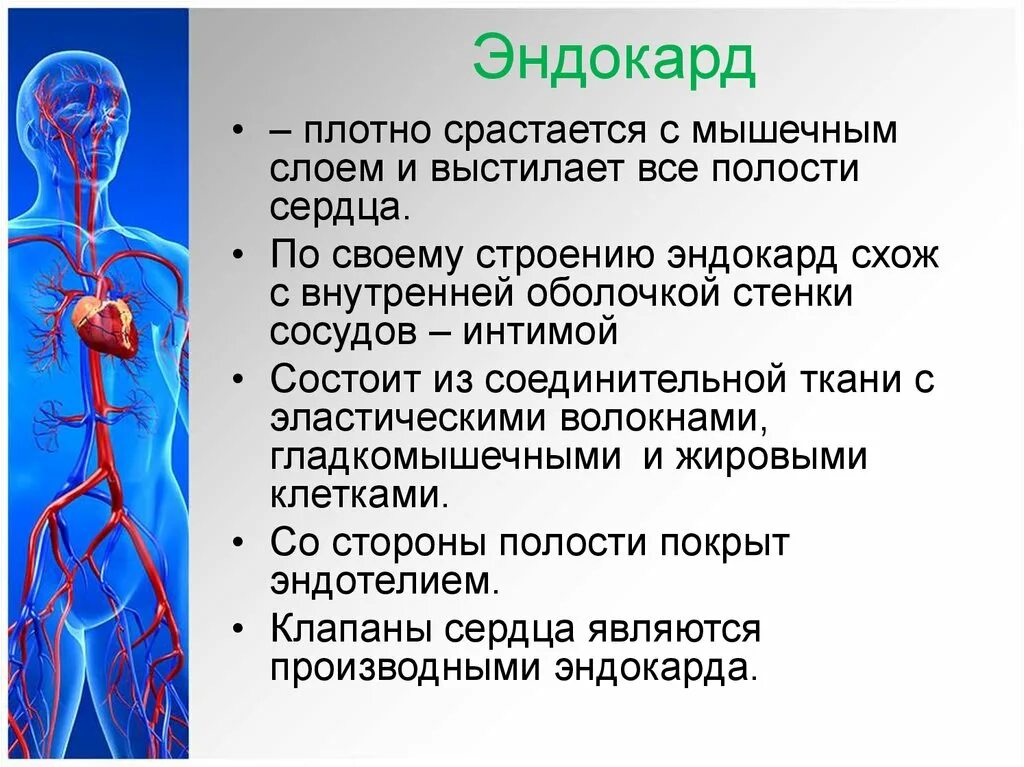 Срослись плотно