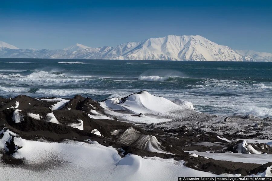 тихий океан зимой. тихий океан камчатка. тихий океан камчатка халактырский пляж. петропавловск-камчатский тихий океан. берег тихого океана на халактырский пляж.