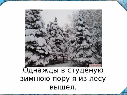 Однажды зеленую зимнюю пору