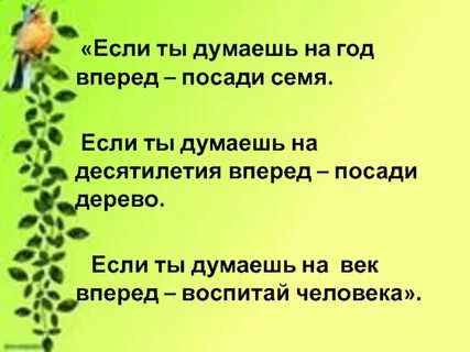 Посадки текст