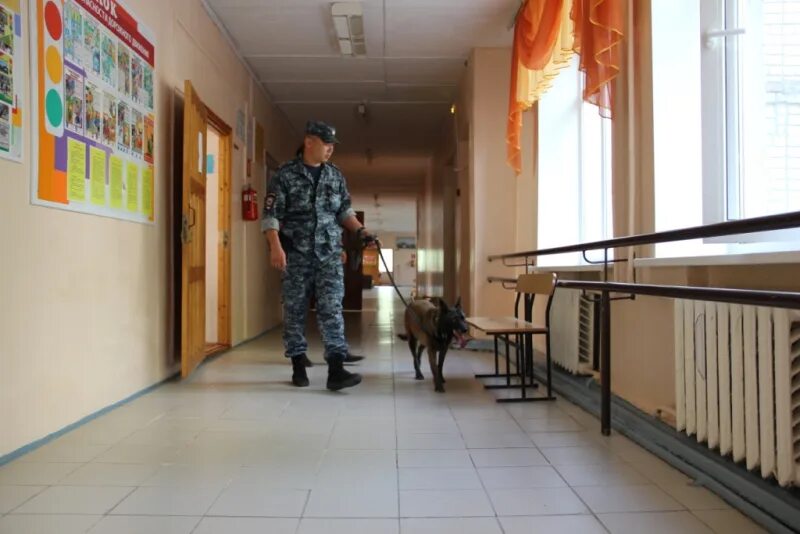 Комната охранника в школе. Охранник в школе. Обустройство комнаты для охраны в школе. Место для охраны в школе. Охрана общеобразовательных школ