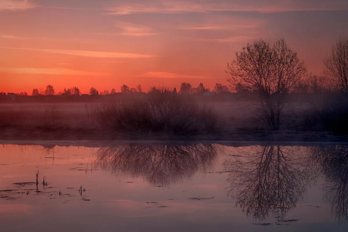 туман в степи. туман. туманный пейзаж. где кочуют туманы. дорога в тумане.