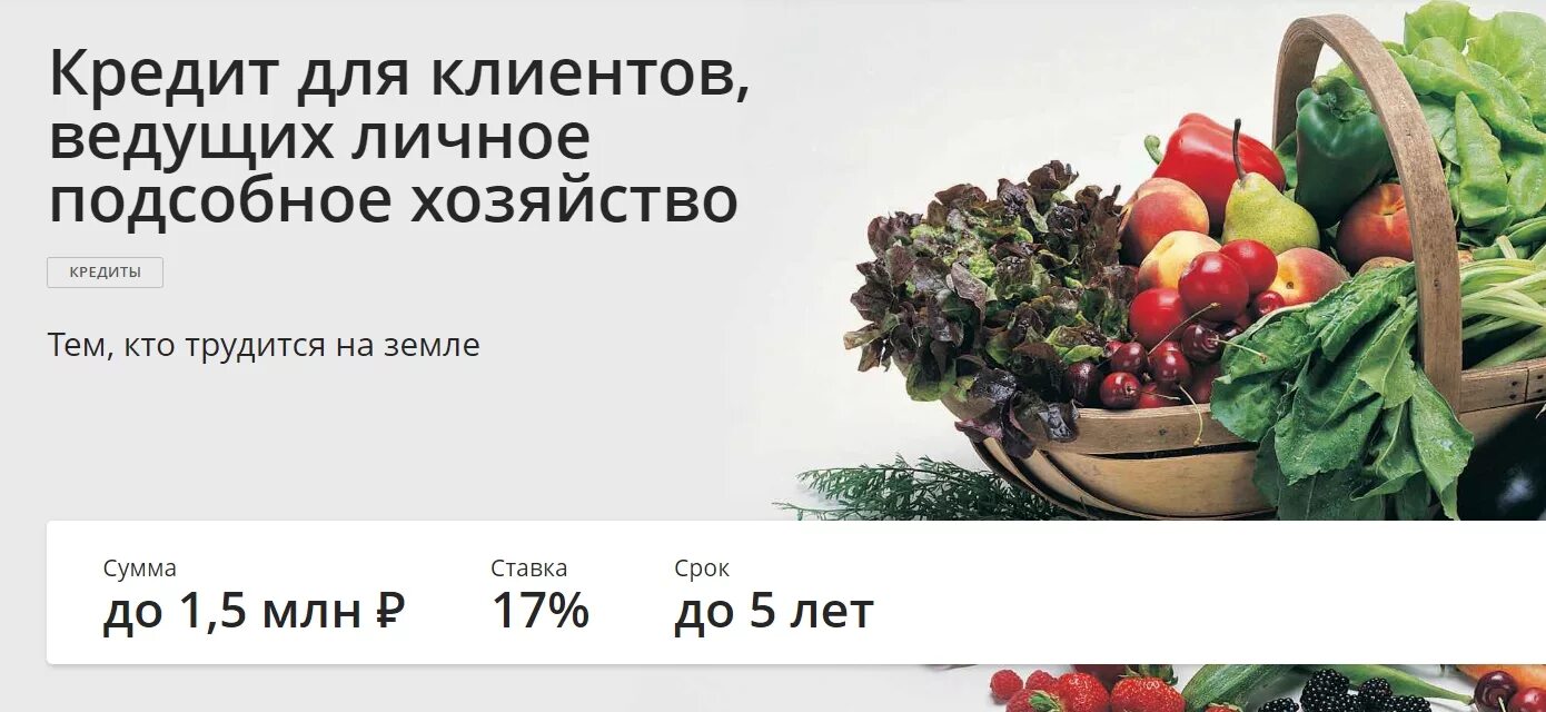 Как получить деньги на лпх. Кредит на личное подсобное хозяйство. кредит для клиентов, ведущих личное подсобное хозяйство сбербанк. кредит на развитие подсобного хозяйства. займы на лпх.
