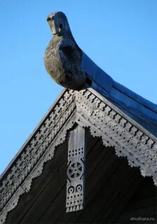 Изба конь