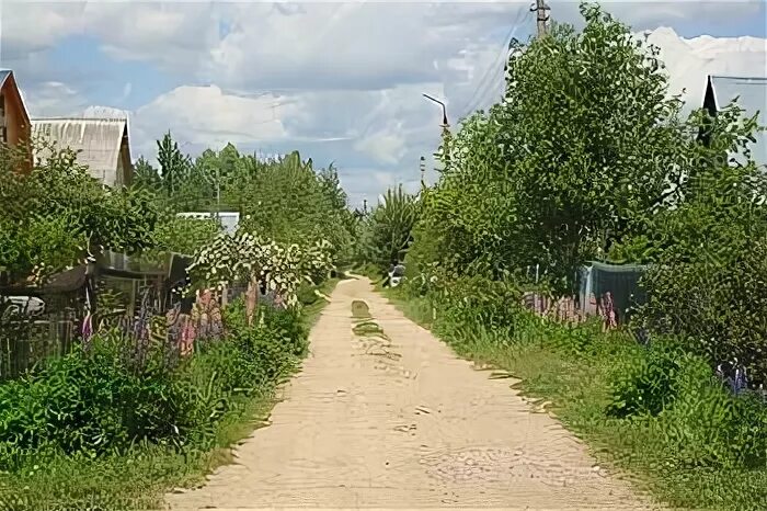 Рыбалка в шапкино наро фоминский. СНТ Березка Наро-Фоминский район. СНТ Березка 2 АМО ЗИЛ. Садовое товарищество Березка Нахабино. Шапкино Наро-Фоминский.