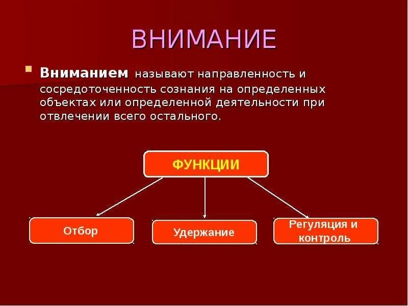 Направленность и сосредоточенность внимания. Внимание. Познавательные процессы в психологии. Внимание определение. Объект внимания.