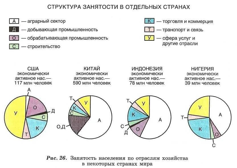 Сколько процентов занимает украина. Структура занятости по отраслям. Занятость населения по секторам экономики. Отраслевая структура занятости. Структура занятости в экономике.