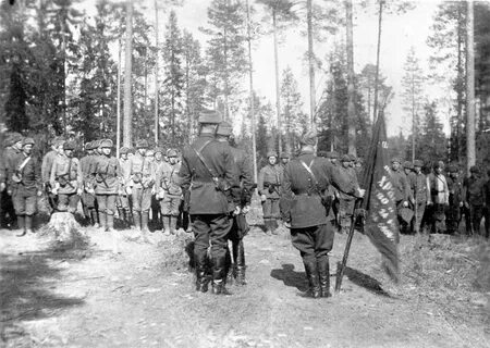Стрелковые дивизии 1944 год
