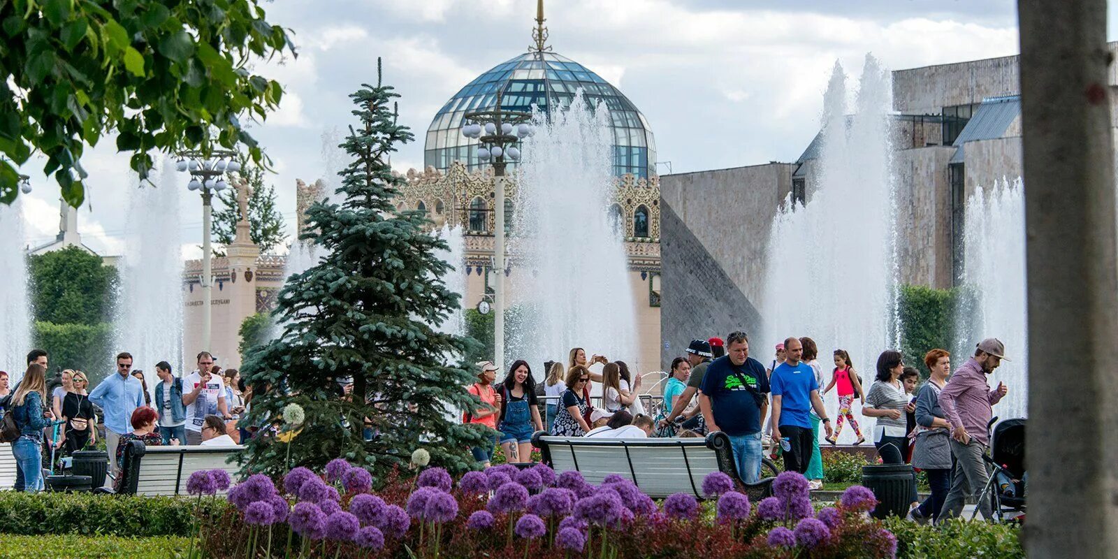 ВДНХ Green City 2021. Грин Сити ВДНХ. Фестиваль Green City на ВДНХ. ВДНХ день семьи.