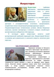 Лишай сколько дней карантин