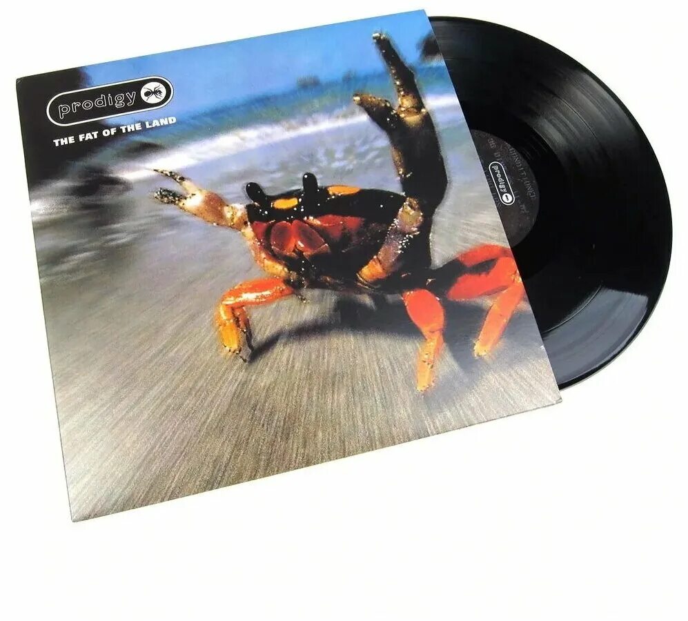 Prodigy "the day is my enemy". The prodigy – experience союз оби. Prodigy пластинка. Prodigy пластинка. Виниловая пластинка продиджи.