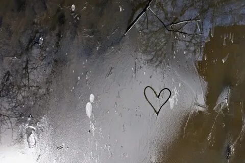 Всюду любовь