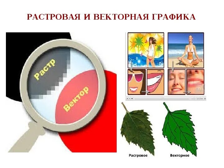 Чем отличается рисунок от графики Разница векторной и растровой графики: найдено 87 картинок