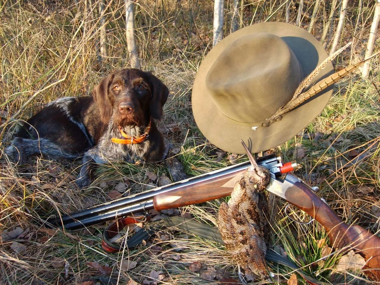 Охота развлечения. Собака охотничья. Охотник с ружьем. Охотник с двустволкой. Ружья для охоты.