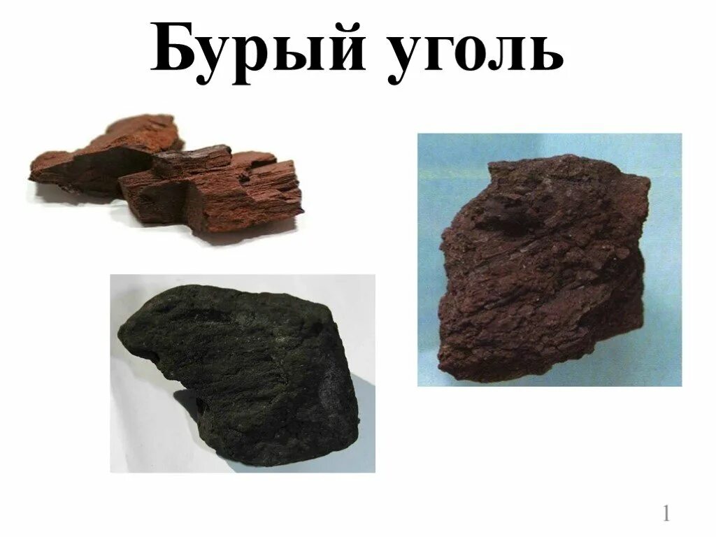 Бурый уголь полезное ископаемое. Бурый уголь 3 класс. Бурый уголь в Тверской области. Бурый уголь лигнит.