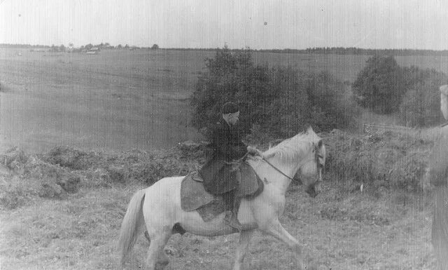 Деревня 1940. Деревня 1940 годов. Советская деревня. Советская деревня 1940-х годов.