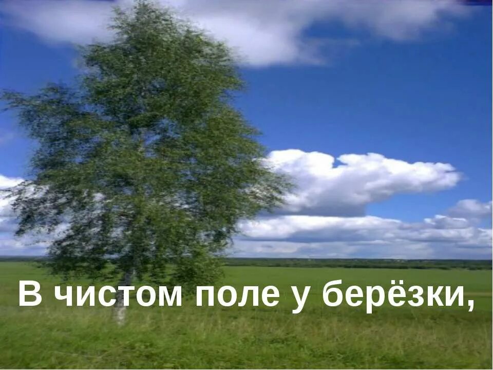 Я сегодня в поле чистом. В чистом поле.... Песня в чистом поле. У России любимой моей в чистом поле. Россия любимая моя родные Березки да поля.