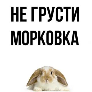 Не печалься мой друг не грусти