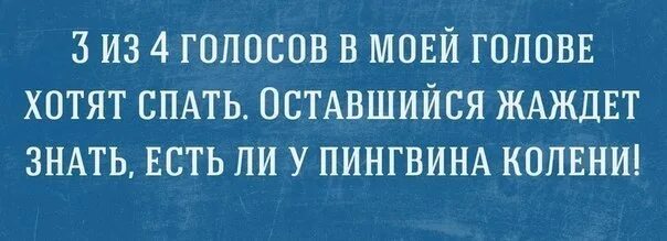 Голоса в голове помогите. Голоса в моей голове. Голоса в голове юмор. Голоса в голове прикол. 3 Из 4 голосов в моей голове хотят спать.