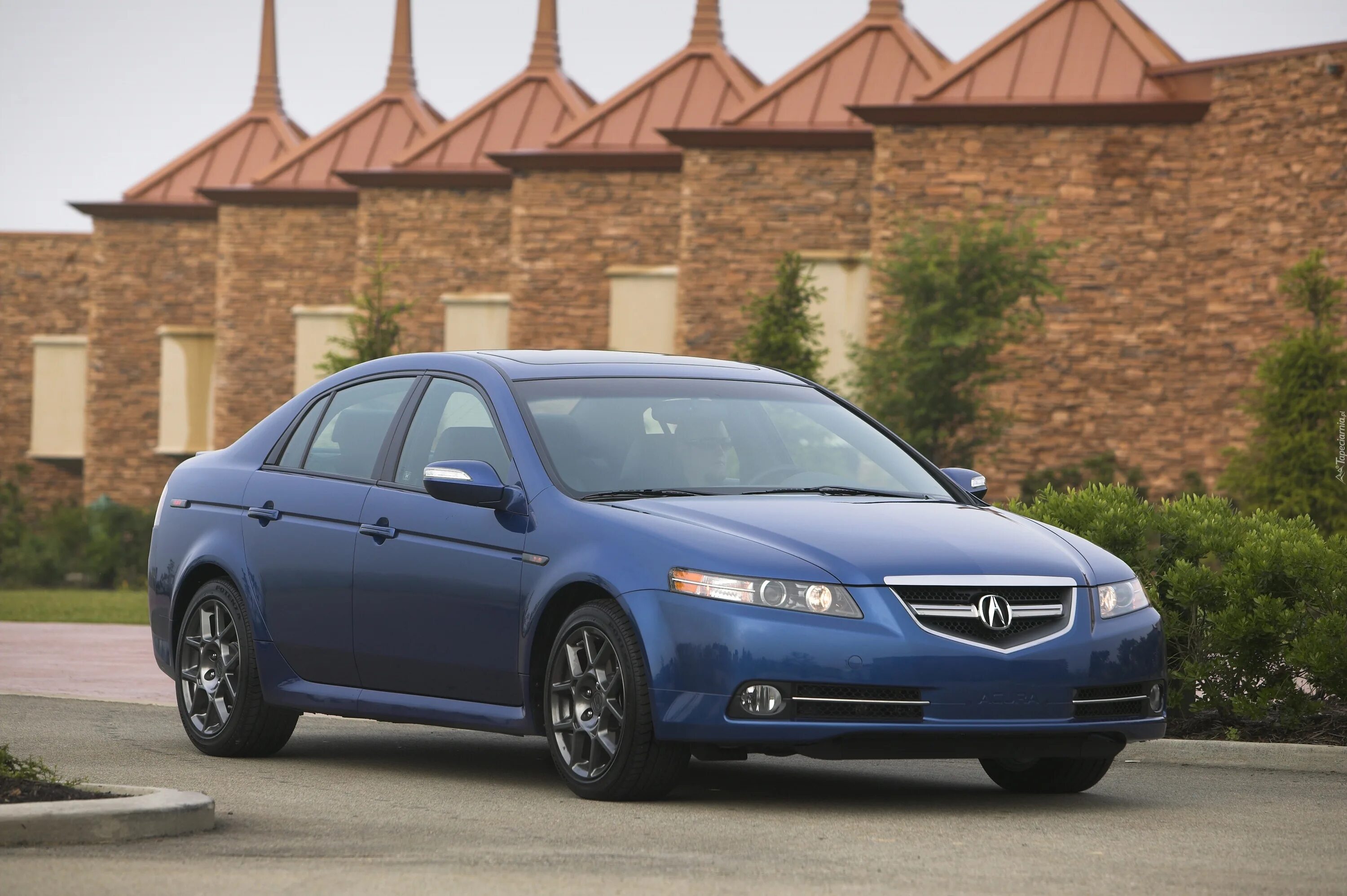 Tl фото. Acura TL 2007. Acura TL 2008. 2004 Acura TL sedan. Acura TSX 2007.