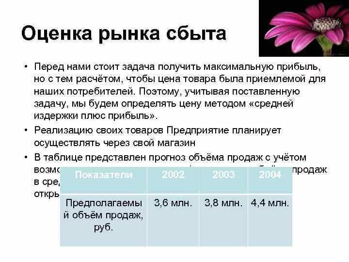 Оценка рынка сбыта. Оценка рынка сбыта продукции. Анализ рынка сбыта в бизнес плане пример. Анализ рынка сбыта пример. Структура рынка сбыта