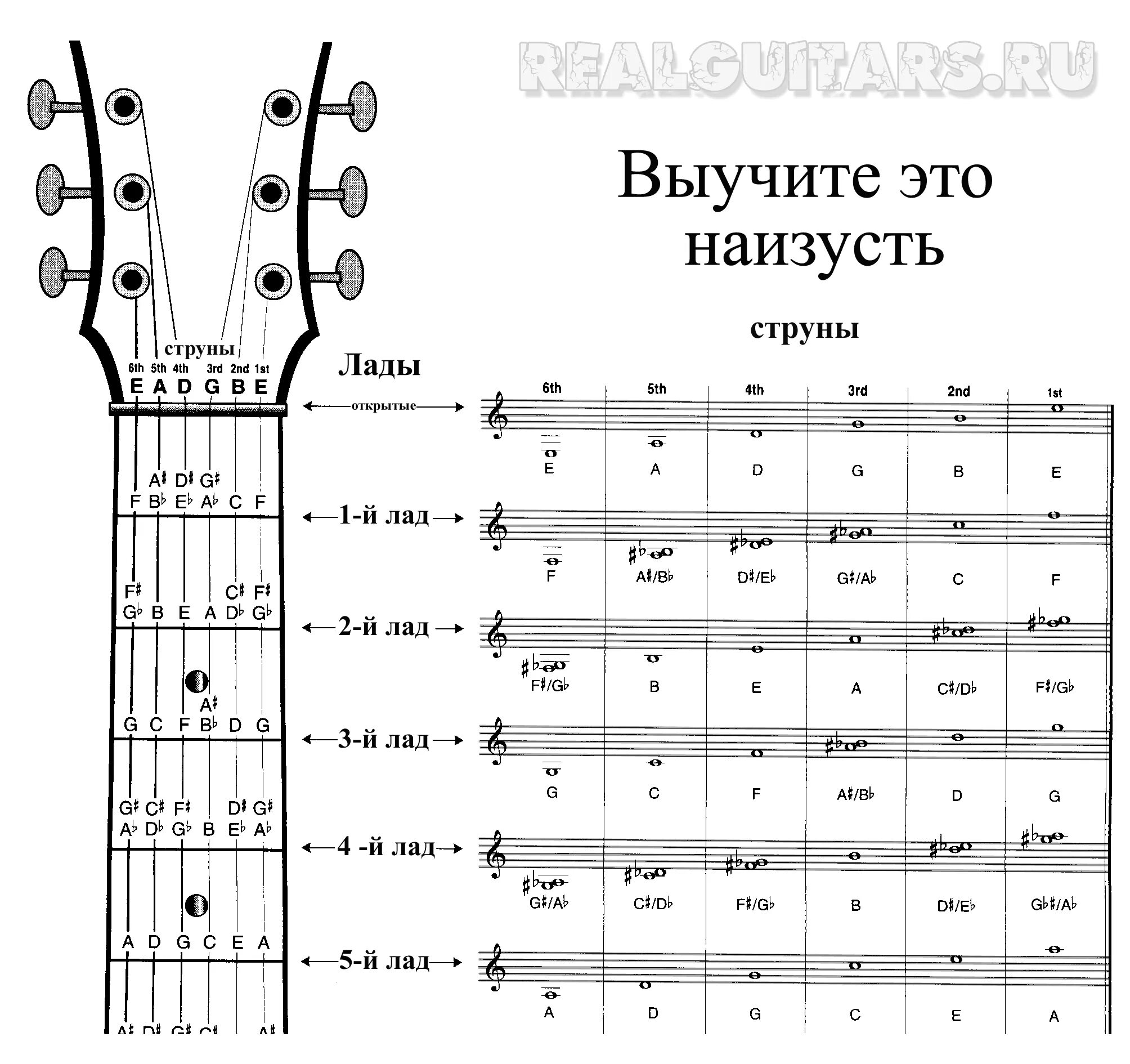 Таблица струны нот. Расположение нот на грифе гитары 6 струн. Расположение нот на грифе электрогитары. Расположение нот на грифе электрогитары 6 струн. Ноты на грифе гитары 6 струн.