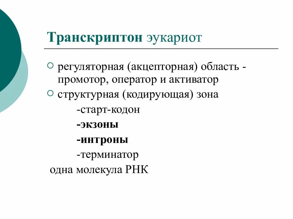 Функционирование транскриптона. Транскриптон эукариот. строение транскриптона эукариот. структура транскриптона у эукариот. транскриптон оператор.
