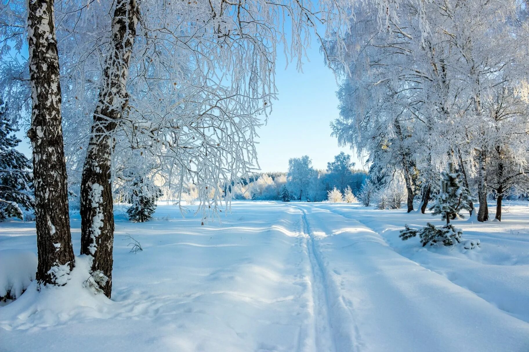 Зимняя природа. Красивая зима. Зима пейзаж. Снежный пейзаж.