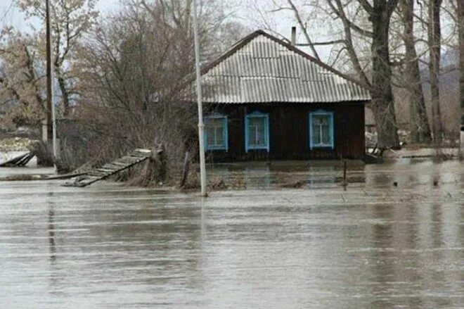 Выдриха вко. Наводнения восточный казахстан. потоп в зыряновском районе. выдриха.