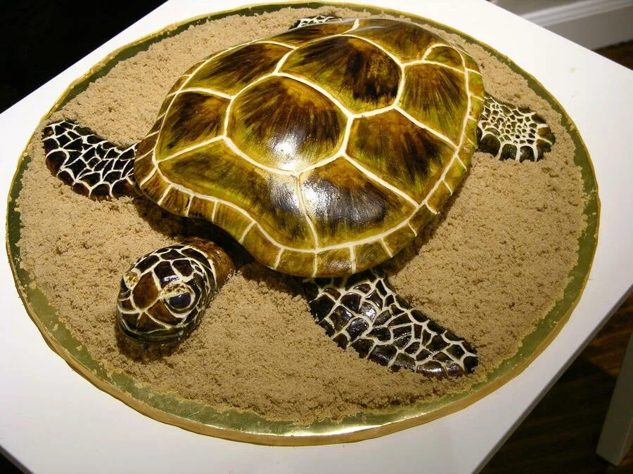 Turtle shape. Торт черепашка. Торт черепаха украшение. Украшения черепаха. Торт в виде черепахи.