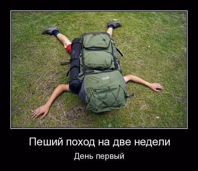 Не с кем идти в поход. Поход юмор. поход прикол. шутки про поход. турист юмор.