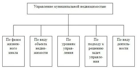 Муниципальное управление 5