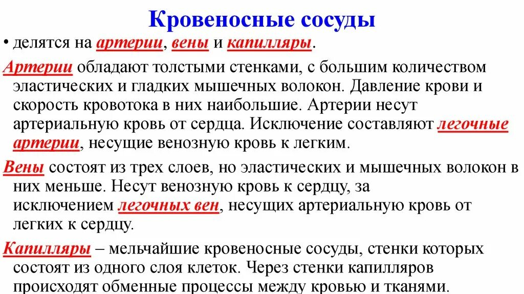 Артерии и вены функции. Характеристика кровеносных сосудов. Строение и функции кровеносных сосудов таблица. Основные функции кровеносных сосудов. Сосуды их строение и функции.