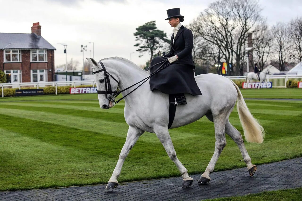 Sidesaddle. Side Saddle. Бэк райдинг. Ride Sidesaddle.