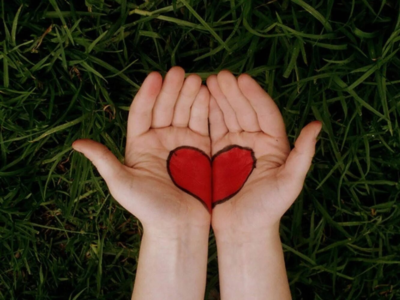 Живите с добром в сердце. Сердце в ладошках. Сердце в руках. Сердечко из рук. Ладошка с сердечком.