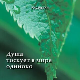 Песня душа тоскует в мире