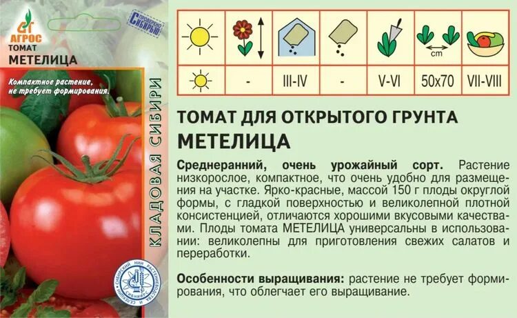 Томат Метелица: описание, выращивание, уход, сбор урожая