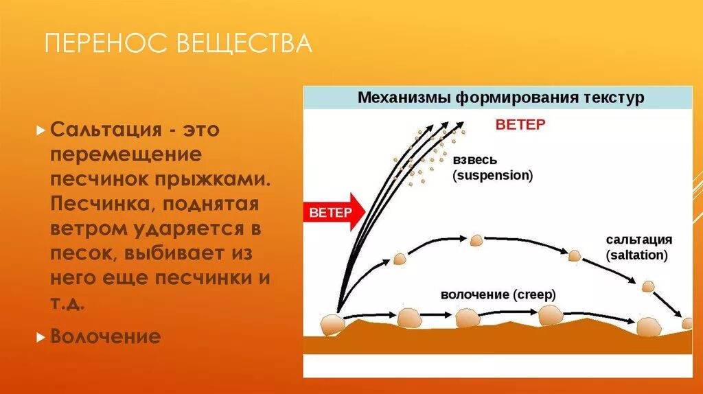 Перенос вещества это. Перемещение веществ. Перенос вещества перенос вещества. Перемещение вещества это в биологии.