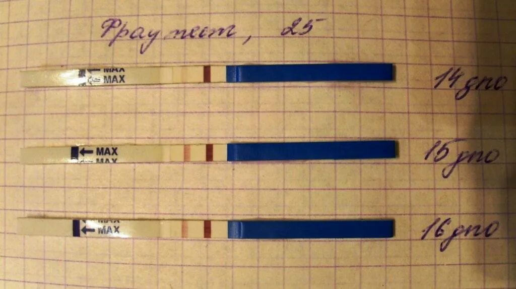 Какими будут полоски на тесте беременности. Полоски на тесте. Тест полоска при беременности. Полоски на тесте на беременность. Полоски на тестах на беременность.