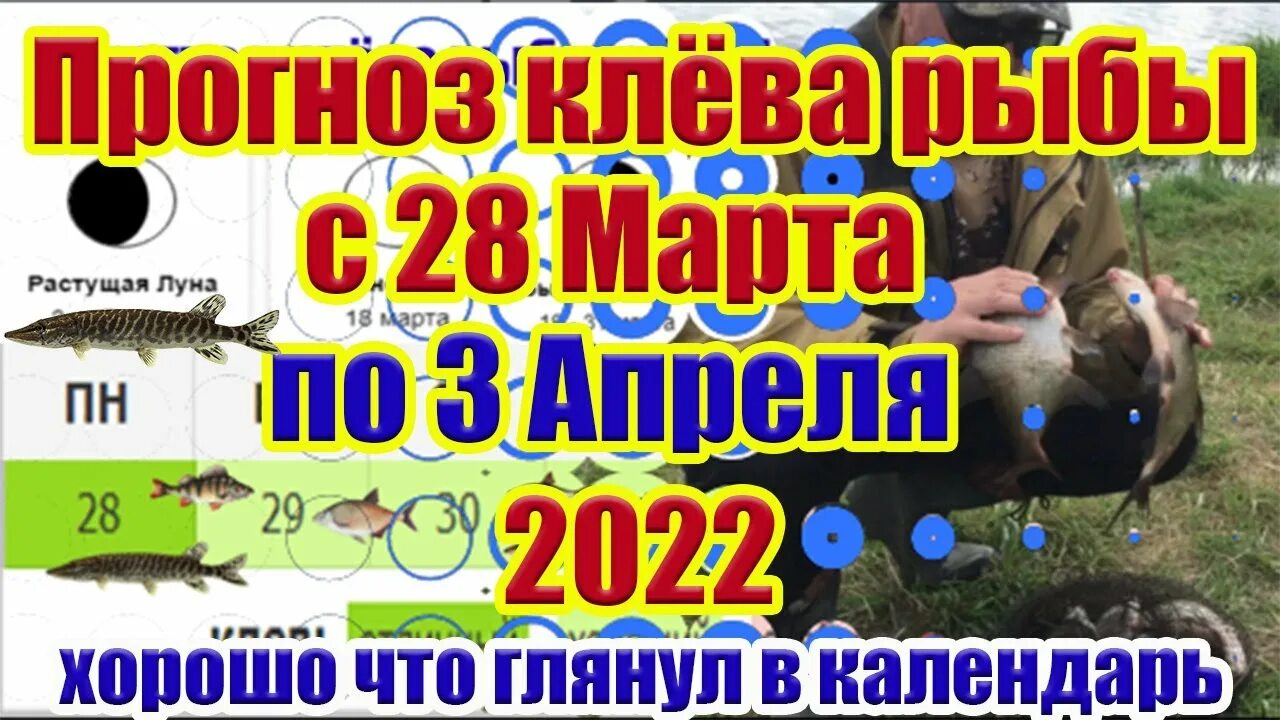 Дни клева в апреле. Рыболовный календарь на апрель. Лунный календарь рыболова. Календарь рыбака на март. Лунный календарь рыболова на март.