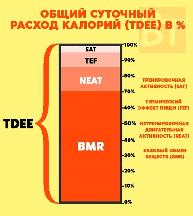 Организм расходует энергию. На что организм тратит энергию. На что организм расходует калории. Расходование энергии в организме. Как вычислить дефицит калорий